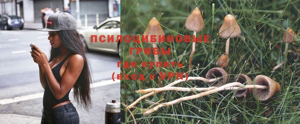 прущий лед Аркадак