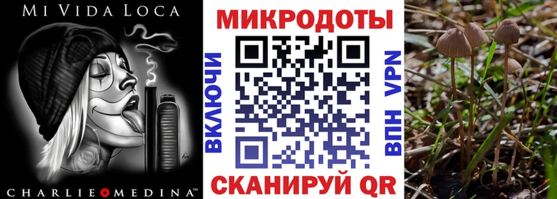 ОМГ ОМГ зеркало  Майский  Псилоцибиновые грибы Psilocybe 